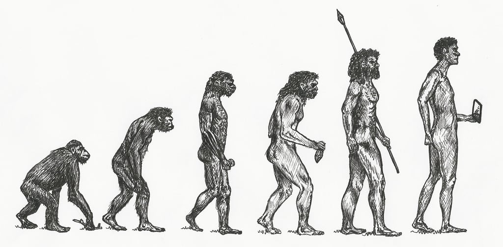 The theory of human evolution