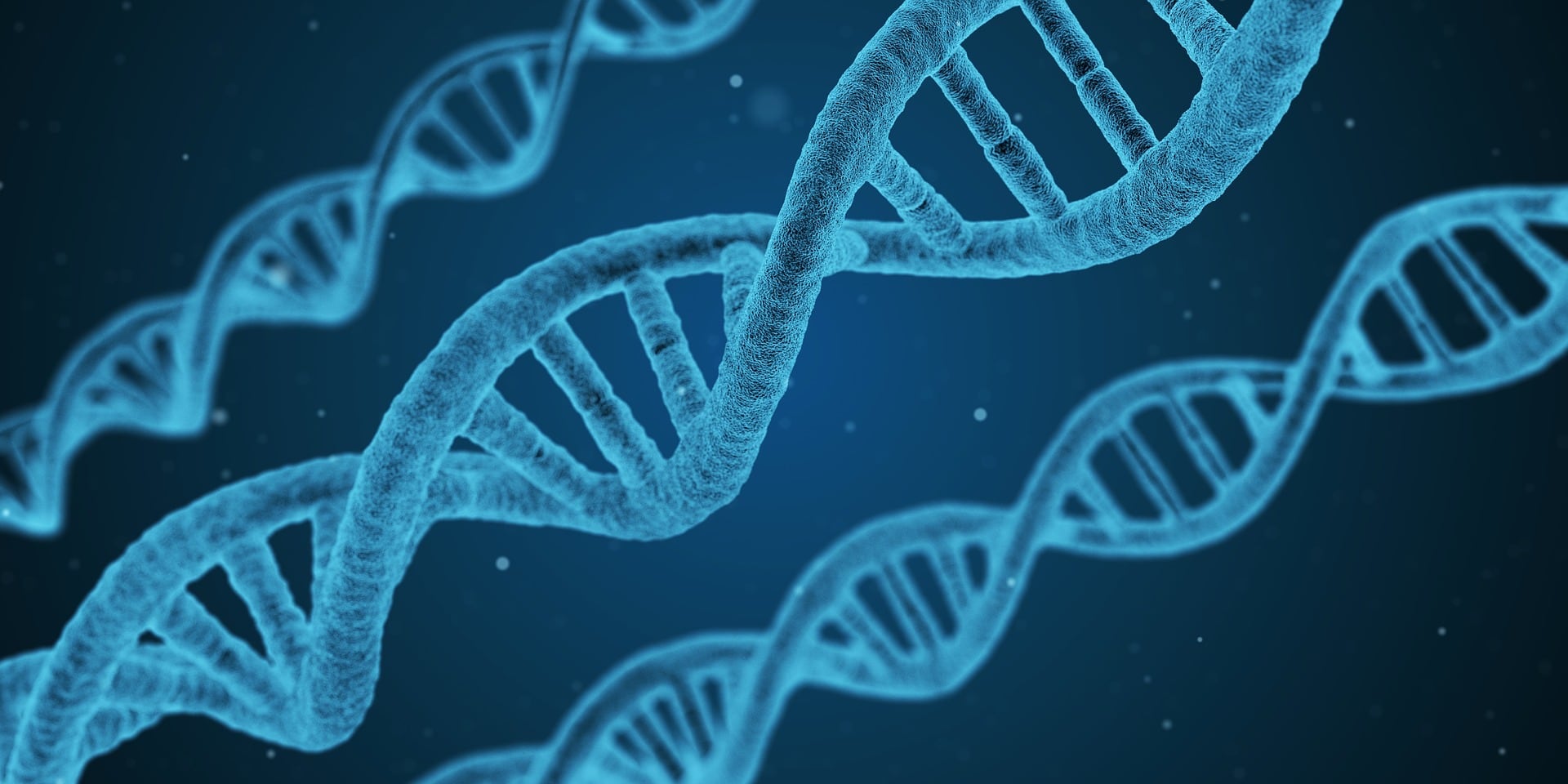 Helix DNA representation