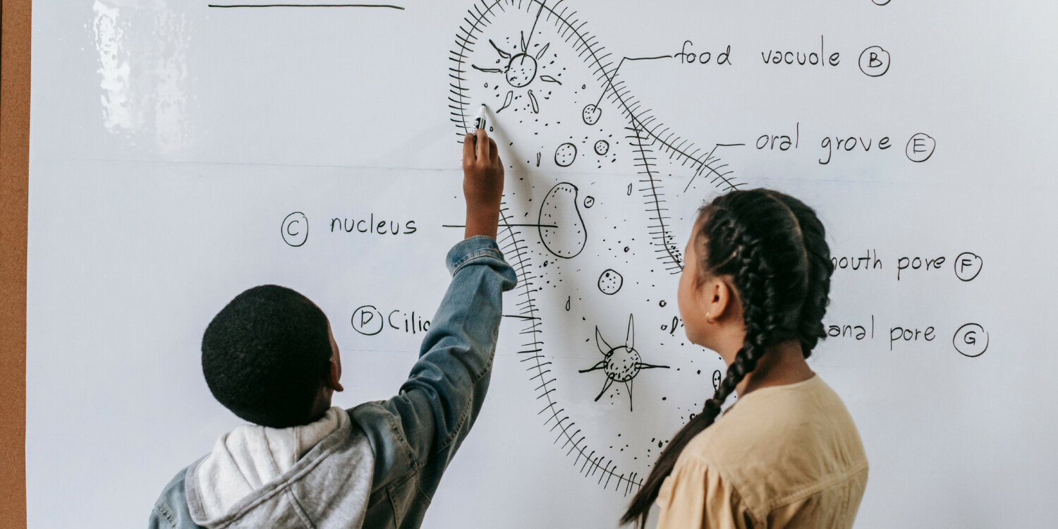 Two students labeling the parts of a cell