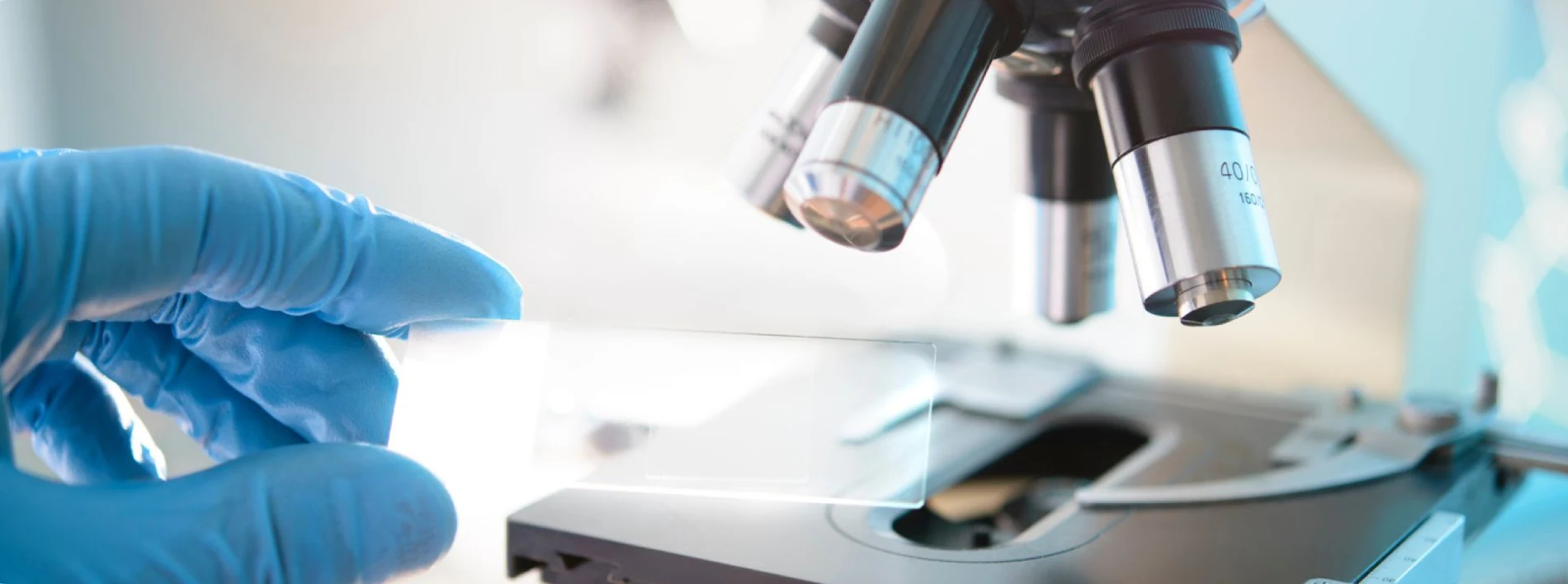 A person with gloves holding a microscope glass slides.