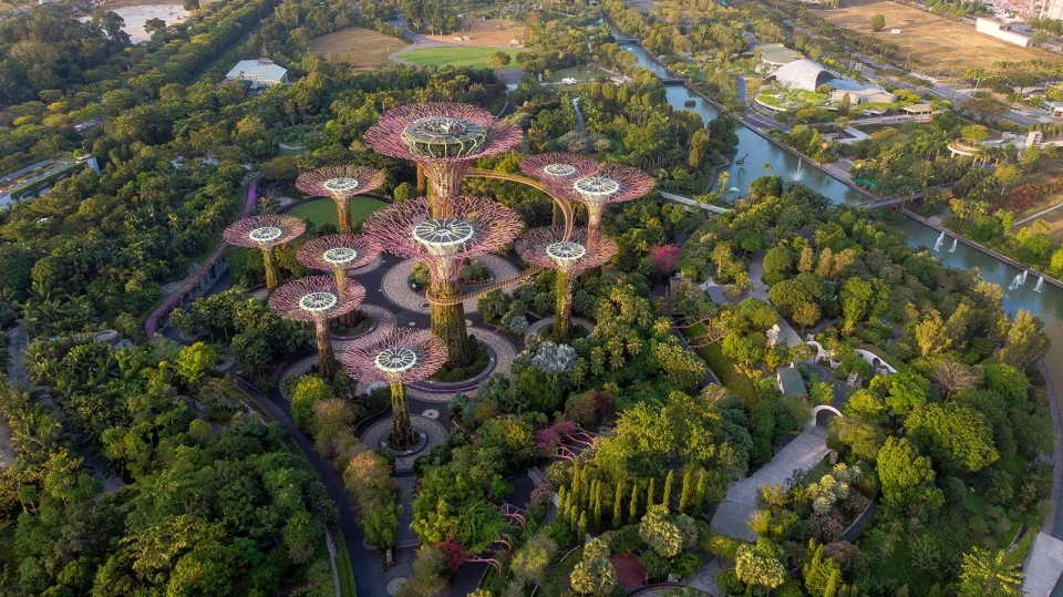 The Supertree Grove in Singapore, featuring towering tree-like structures illuminated against the night sky.