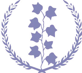 online research programme icon