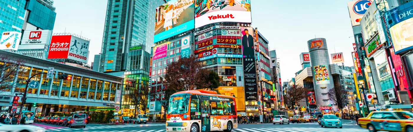 Tokyo city