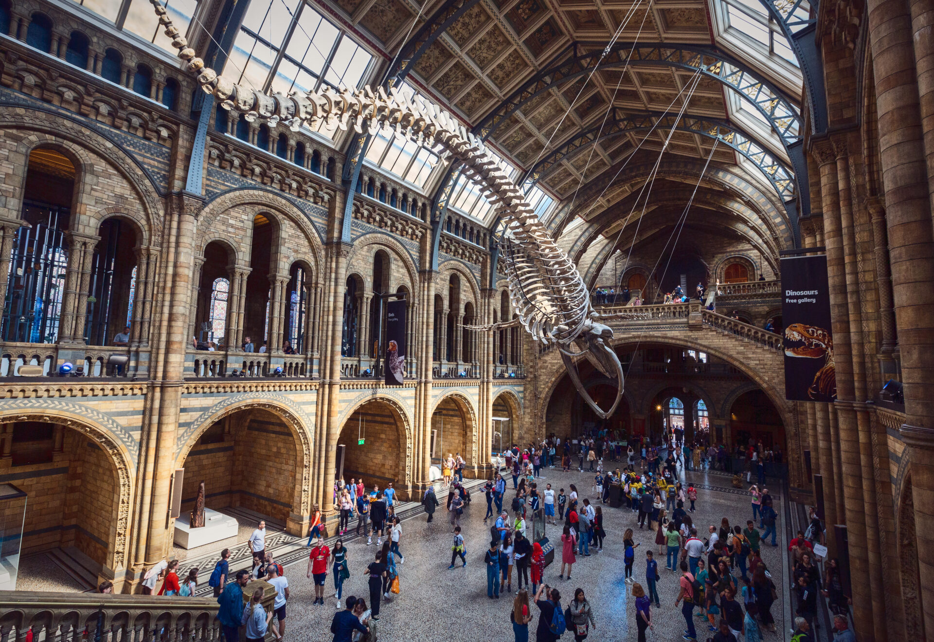 The interior of the Natural History Museum in London