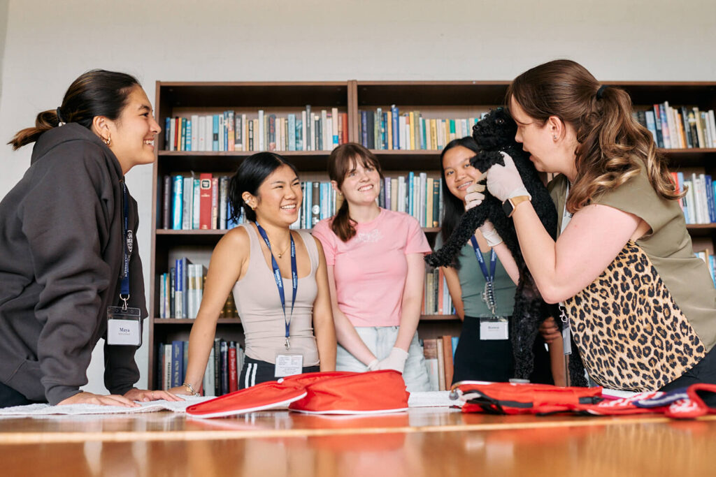 Teens taking part in the veterinary medicine programme at our Sydney summer school, looking at a vet as she examines a black dog